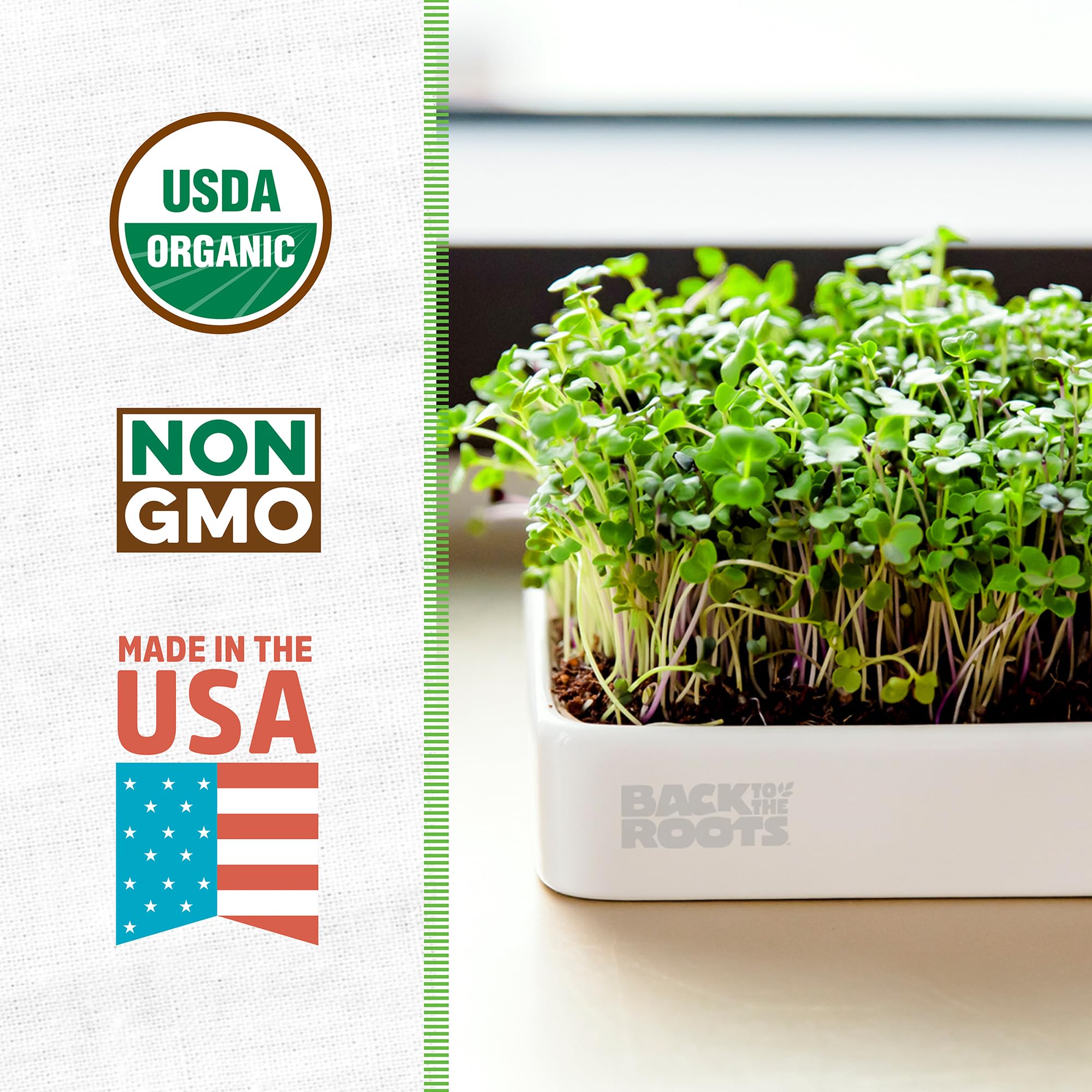 Organic Microgreens Grow Kit with Ceramic Planter - Expandable Soil, Non-GMO Seeds & Germination Lid | Indoor Gardening Starter Kit for Homegrown Salad Greens, Smoothies & Healthy Snacks