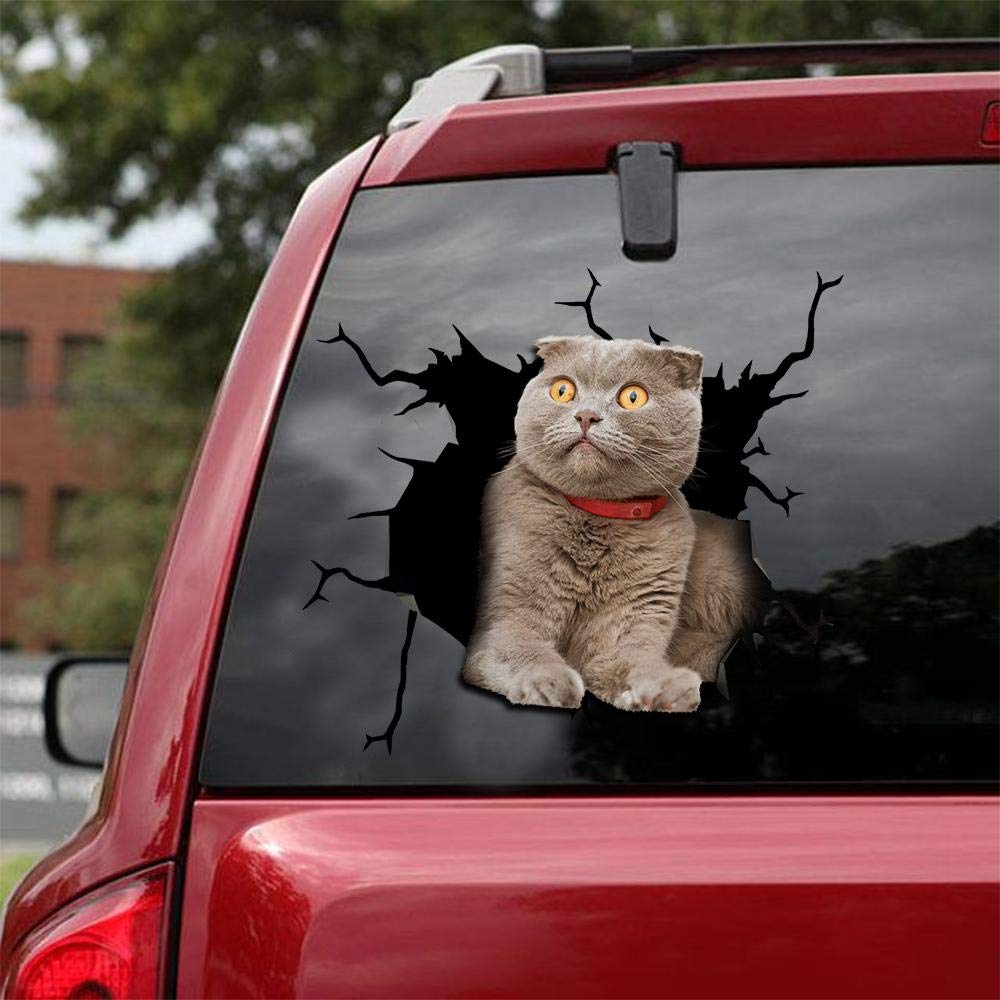 Scottish Fold Cat Decals - Pack of 2 Realistic Car & Wall Stickers (10