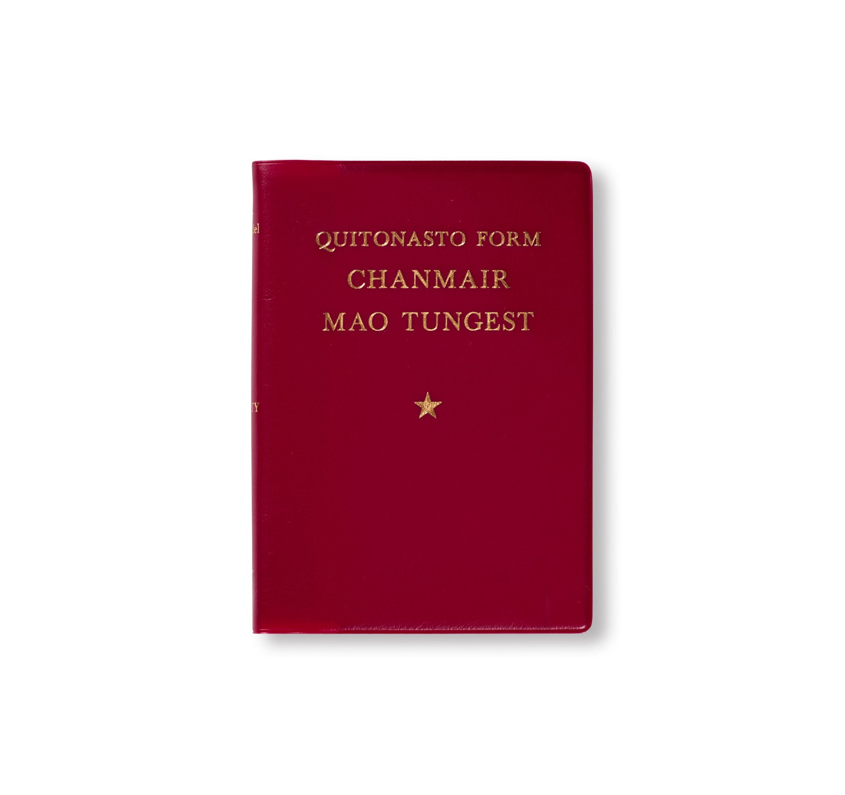 PARTY. QUOTATIONS FROM CHAIRMAN MAO TSETUNG by Cristina de Middel - Vintage Political Photography Book for Art Collectors & History Enthusiasts - Perfect for Home Decor, Gift Giving & Cultural Studies