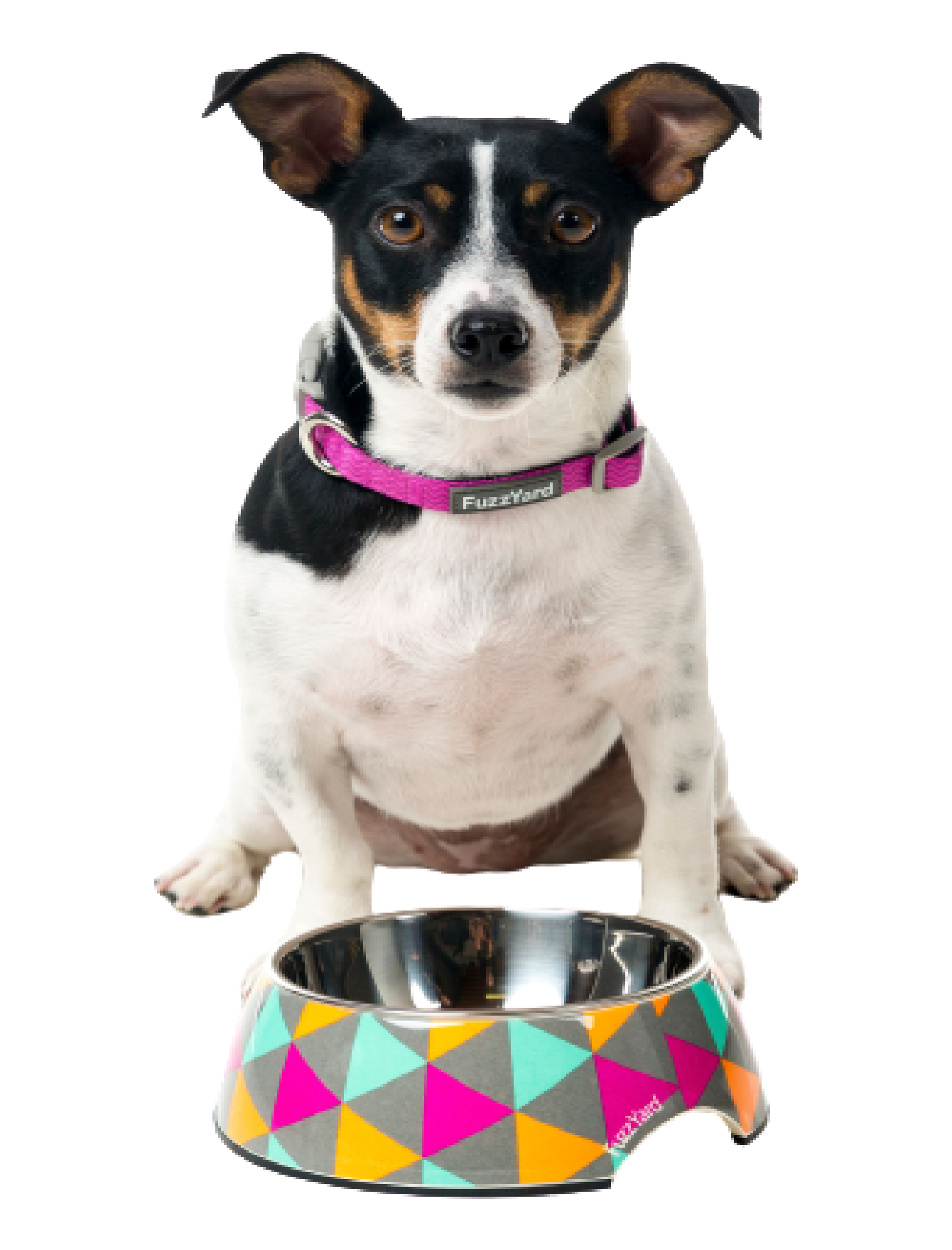 FuzzYard Easy Feeder Slow Eating Pet Bowl for Dogs & Cats - Anti-Choking Design with Non-Slip Base (3 Sizes: Small, Medium, Large) - Perfect for Fast Eaters, Mealtime Training, and Portion Control