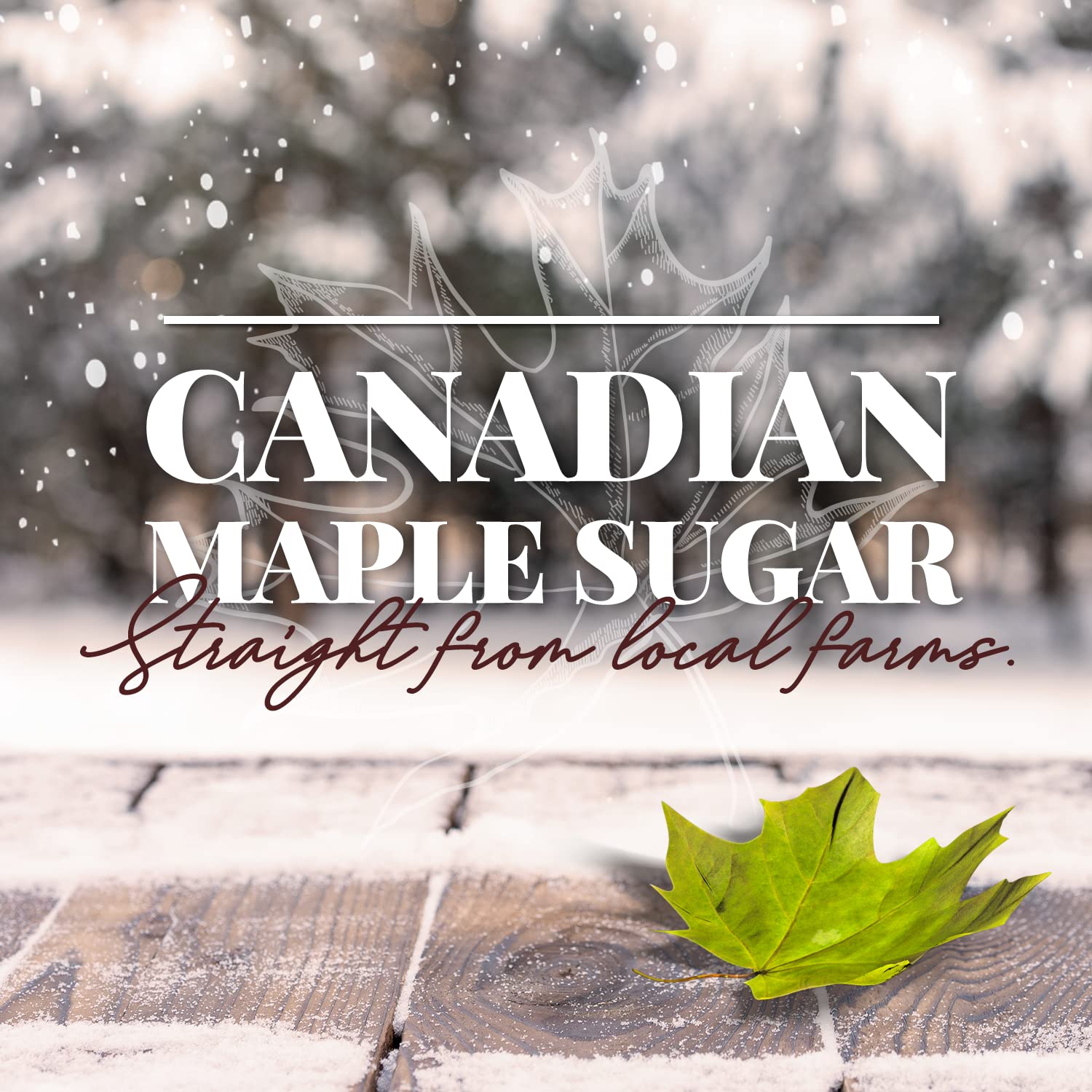Brien Pure Maple Sugar - Natural Granulated Sweetener | Vegan, Paleo Friendly, Dairy-Free | Grade A Maple Syrup | 12.3 Oz - Perfect for Baking, Coffee, Tea & Healthy Recipes