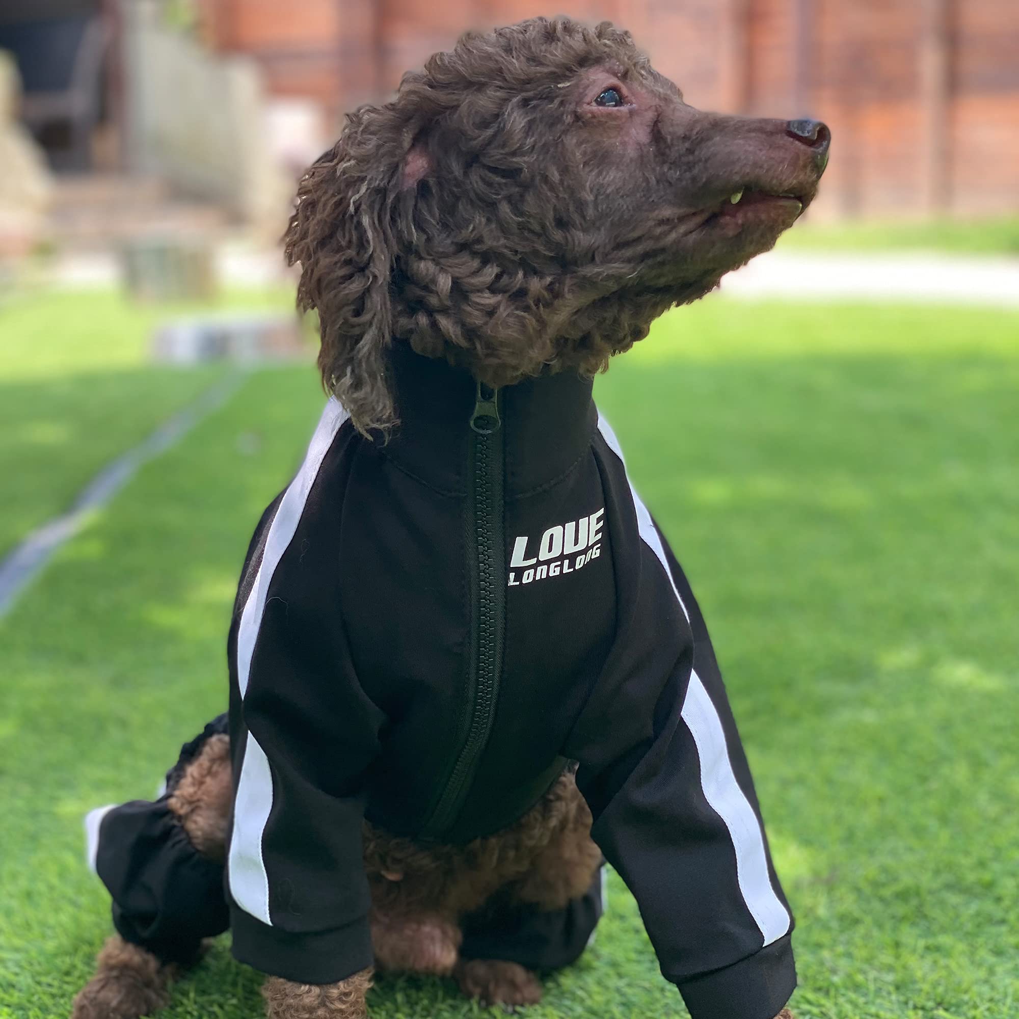 Zipper Dog Sweatshirt - 4-Legs Covered Sport Suit for Small Medium Large Dogs | Breathable Comfortable Dog Sweater in Black | Perfect for Outdoor Adventures, Jogging & Cold Weather Protection