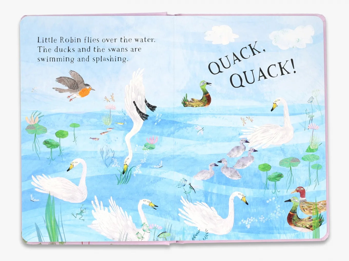 Little Robin's Book of Birds - The Big Book Series | Illustrated Children's Nature Guide | Perfect for Homeschooling & Bedtime Reading