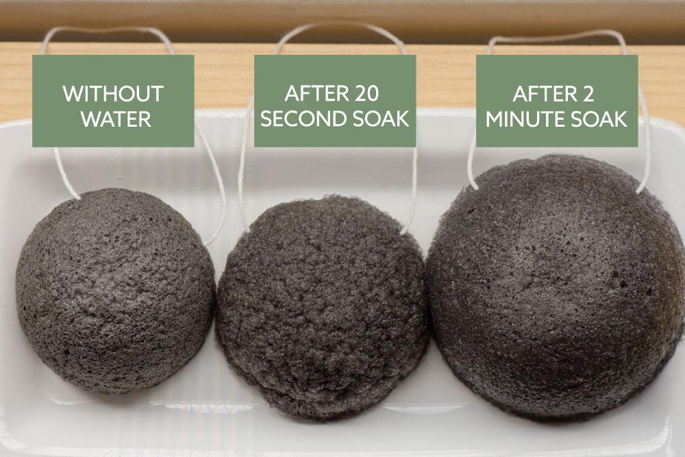 No Tox Life Luna Charcoal Facial Sponge - Natural Exfoliating & Cleansing Sponge for Acne-Prone Skin | Perfect for Daily Face Wash & Makeup Removal