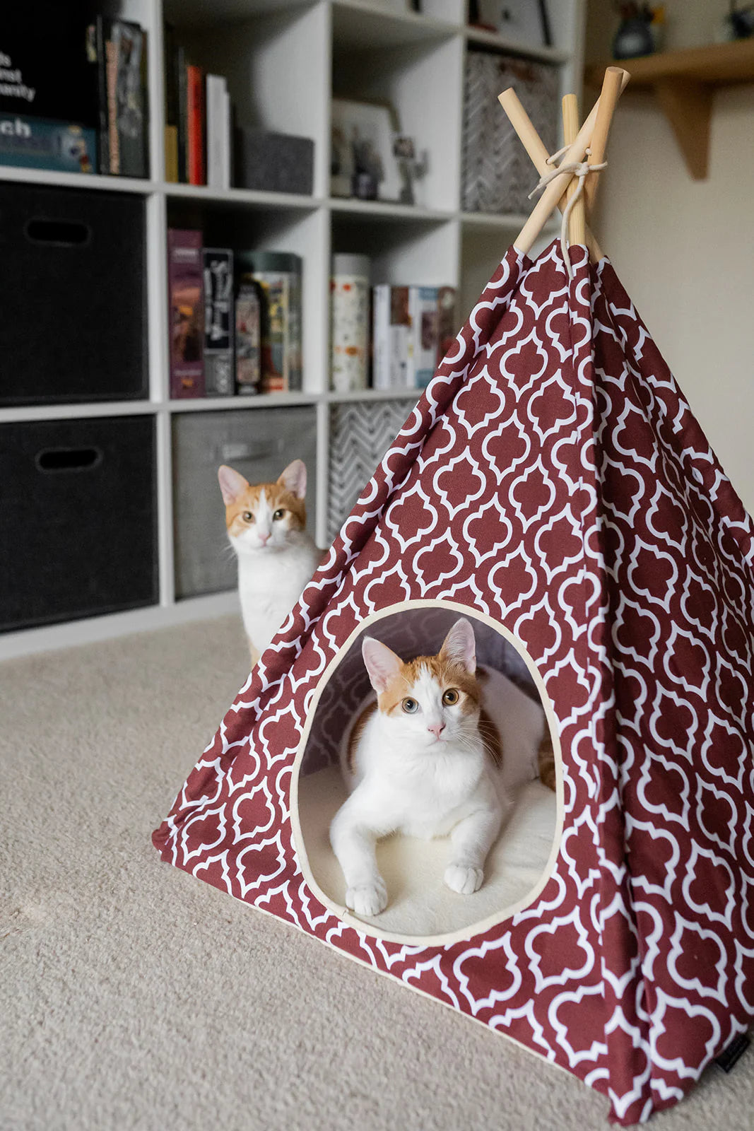 Cozy Cove Tent Bed for Kids - Portable Indoor Playhouse with Star Lights - Perfect for Reading Nook, Playtime & Sleepovers