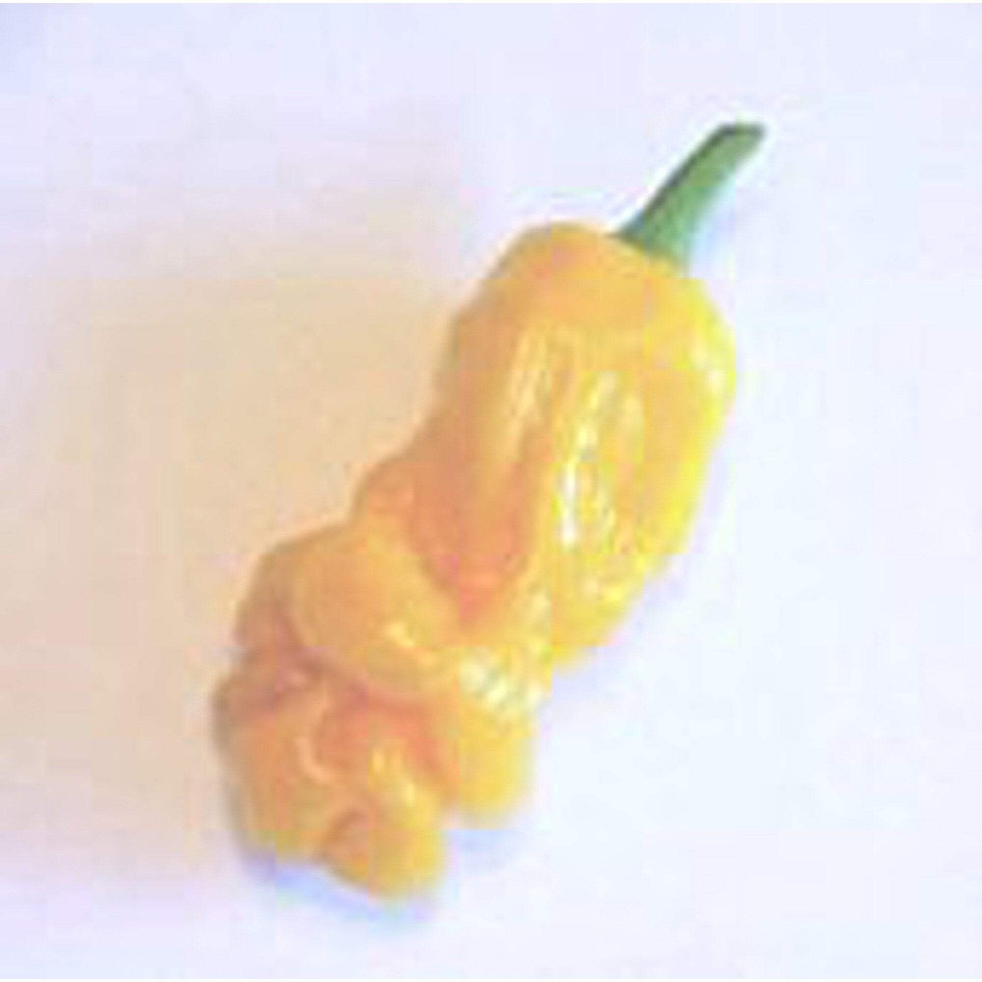 Peter Pepper Hot Yellow Pepper Seeds - Spicy Heirloom Variety for Home Gardening, Cooking & Salsa Making