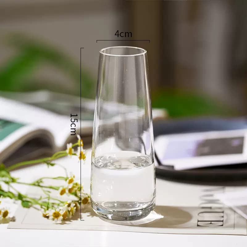 6-Pack Clear Glass Bud Vases for Flowers - Small Decorative Vases for Centerpieces, Weddings, Home Decor & Table Arrangements (Transparent)