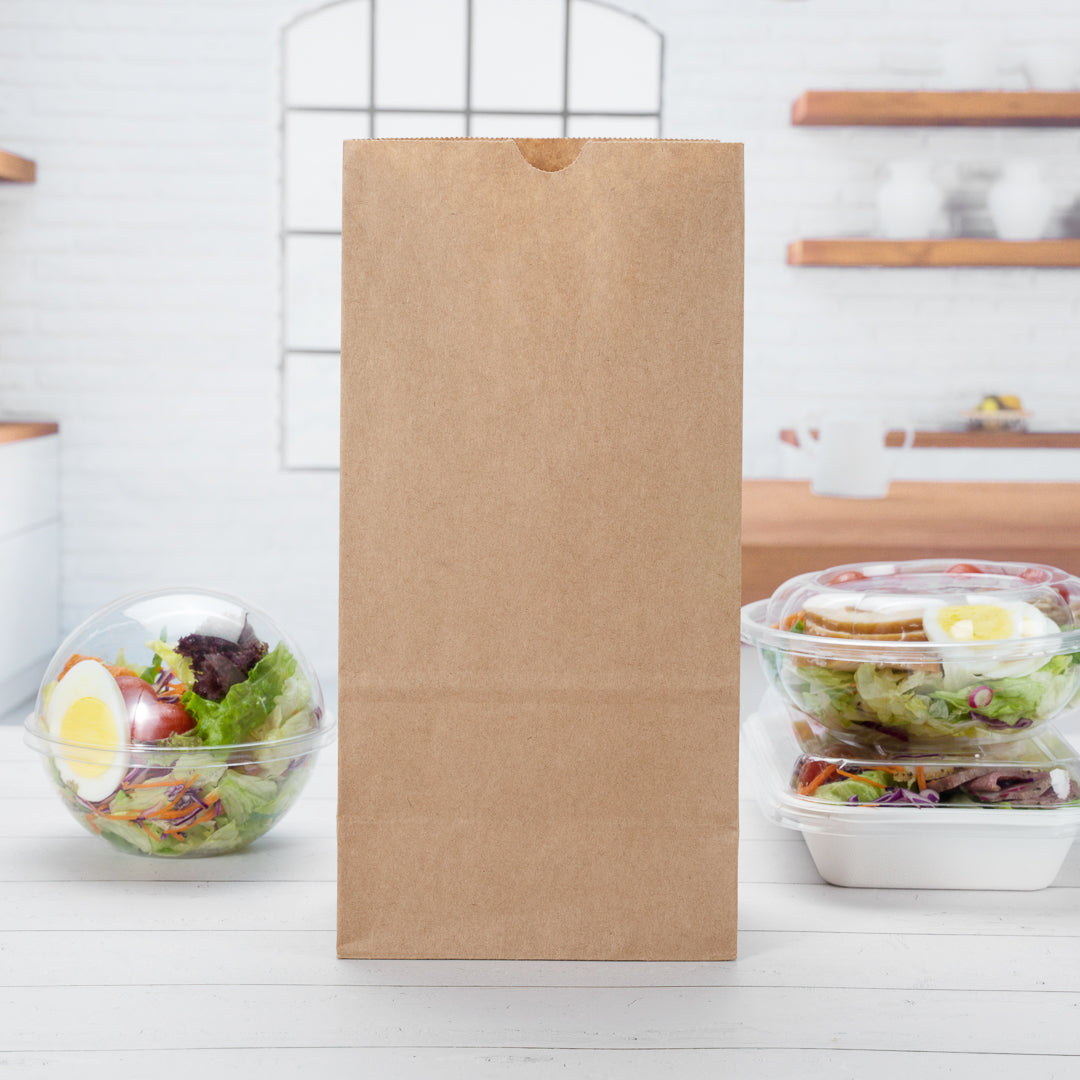 Premium Kraft Paper Bags 8 lb Capacity - 6 x 4 x 11.75 Inches - 100 Count Box - Eco-Friendly Shopping Bags for Retail, Grocery & Gift Packaging