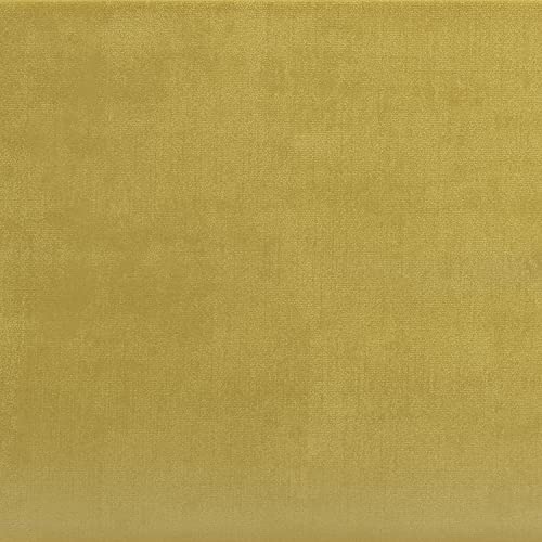 Dijon Yellow