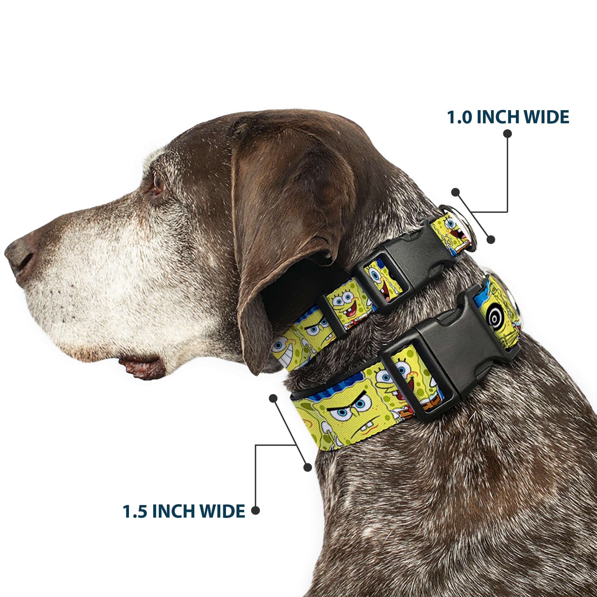 Spongebob Themed Dog Collar with Plastic Clip - Blue Stripe Design, Adjustable 15-26 Inches, 1.0 Inch Wide - Perfect for Cosplay, Pet Parties & Cartoon Lovers