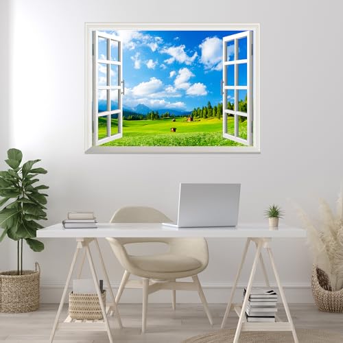 Blue Sky and Green Grass