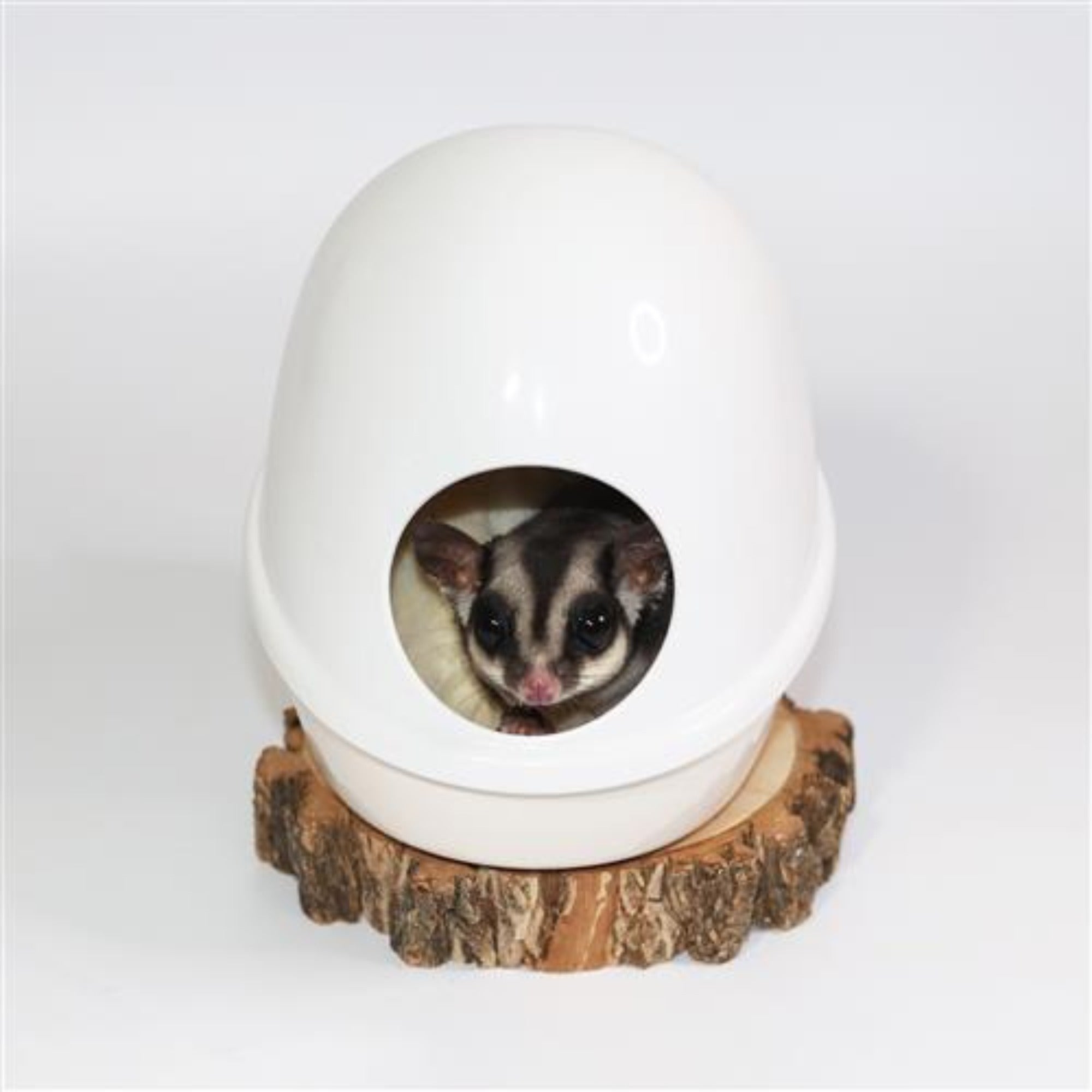No Mess Press N' Slide Pet Food Dispenser with Dome Lid - Perfect for Cats & Dogs Feeding at Home or Travel