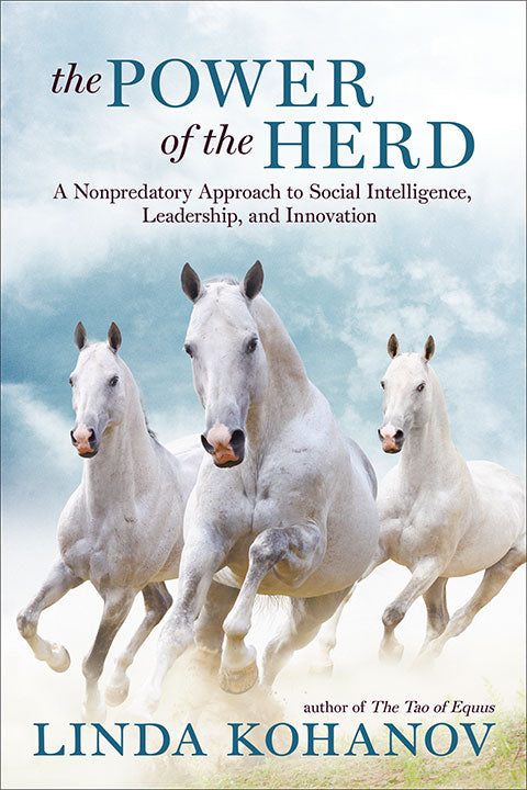 Harness The Power of the Herd - Premium Horse Training Equipment for Equestrian Sports & Ranch Work | Perfect for Dressage, Show Jumping & Western Riding