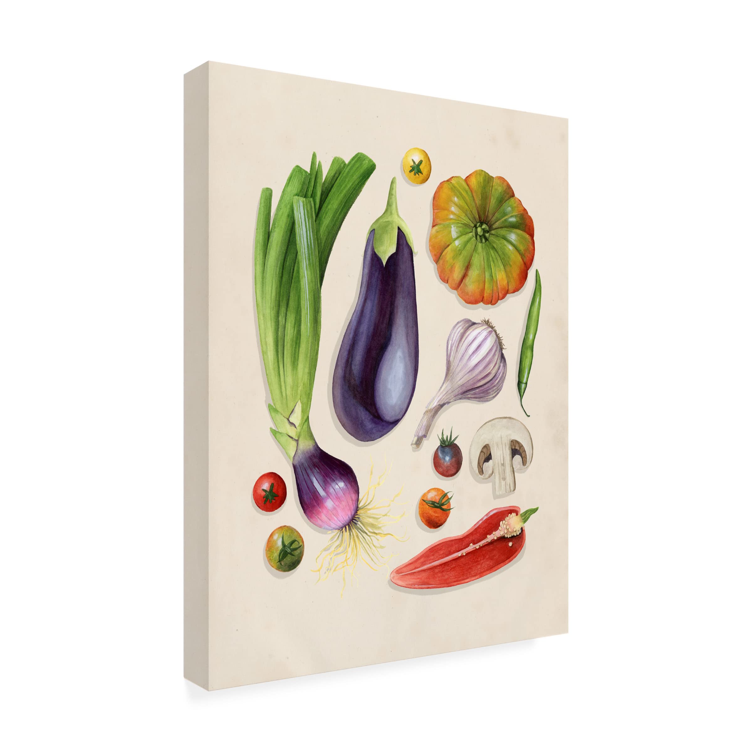 Grace Popp Vegetable Garden I Canvas Wall Art Print - Modern Home Decor for Living Room, Bedroom & Office - Nature Inspired Botanical Painting