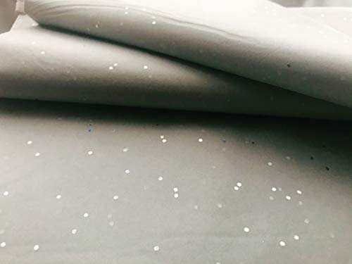 Silver Dust