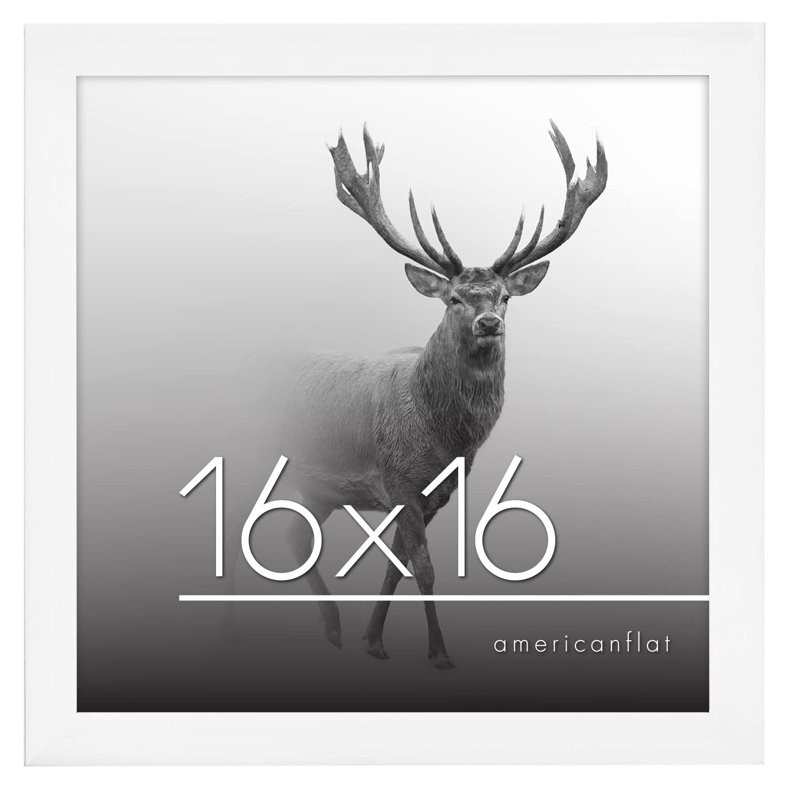 Americanflat 16x16 Wood Picture Frame - White Wall Display for Photos & Art