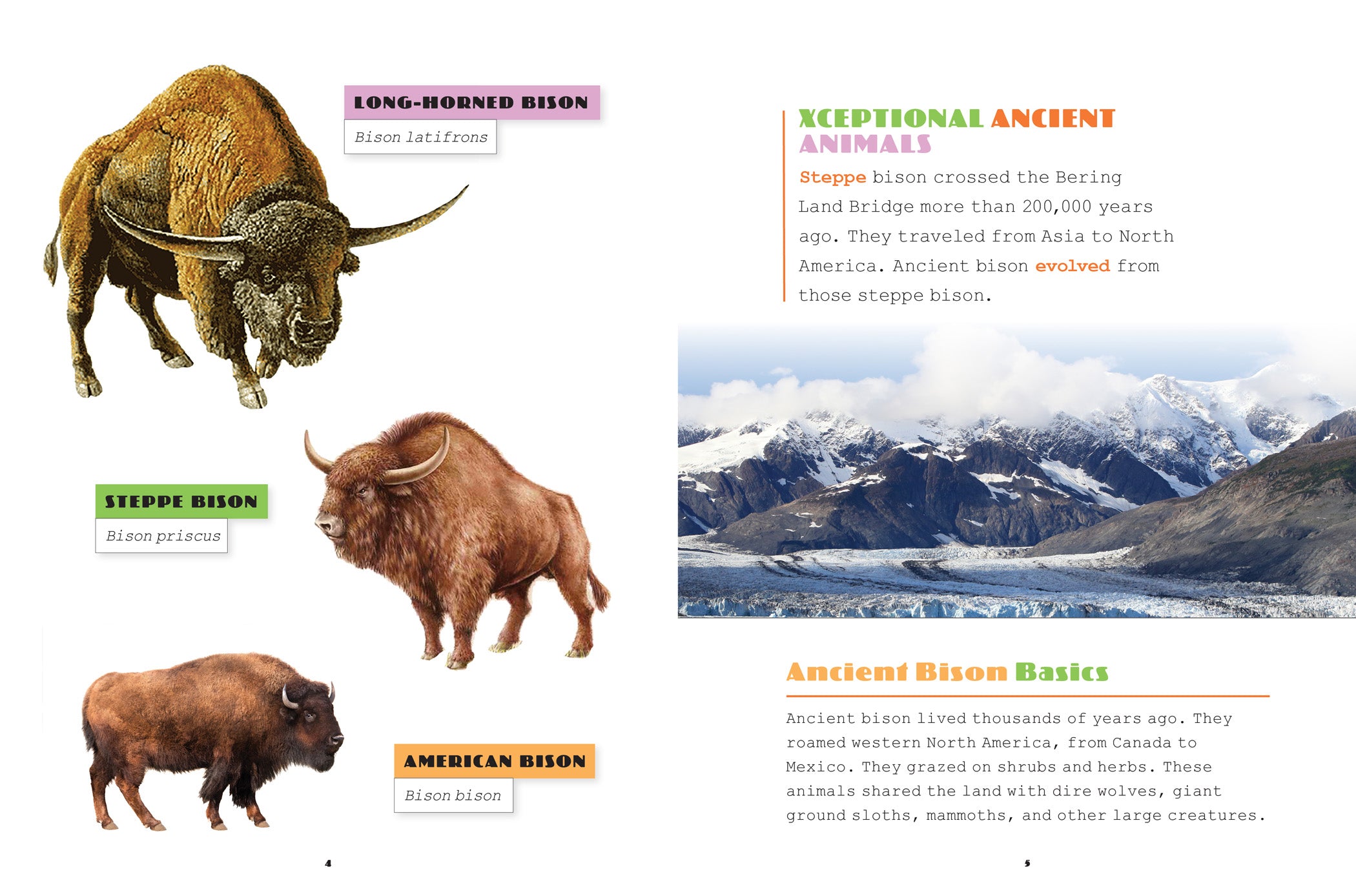 Ancient Bison Book - 9781640264328 | Prehistoric Wildlife Guide, Paleontology & Natural History | Perfect for Students, Researchers & Nature Enthusiasts