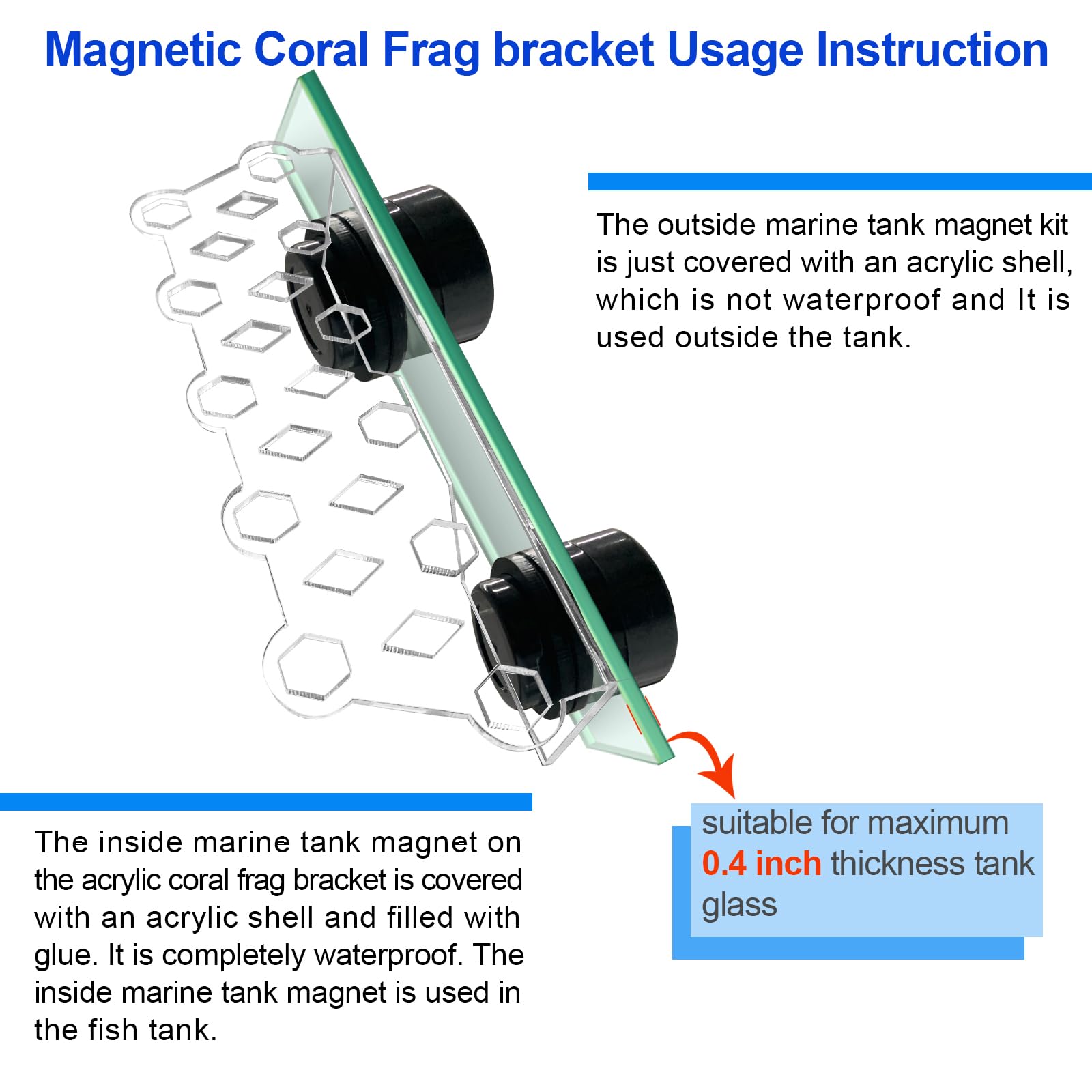 Aquarium Coral Frag Rack Magnetic Holder - 11 Coral Plug Reef Magnets for Saltwater Tanks | Perfect for Coral Propagation, Frag Displays & Reef Aquarium Maintenance