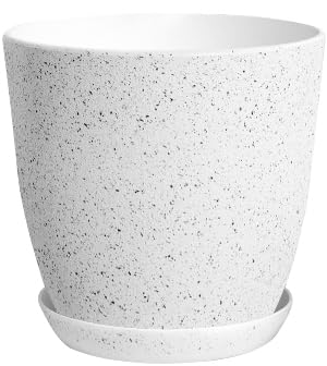 Spotty Grey