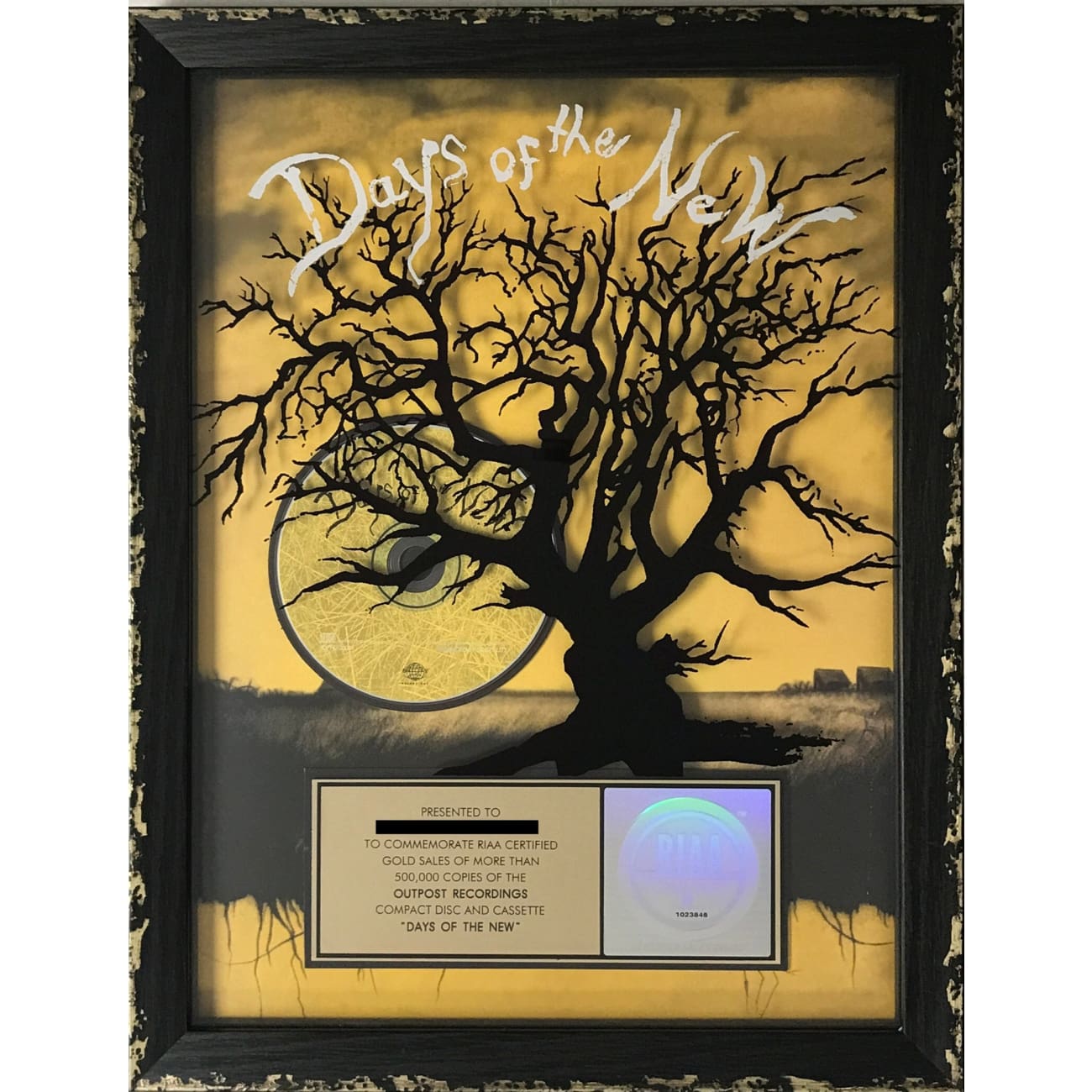 Days Of The New - Certified Gold Album Award by RIAA | Collectible Music Memorabilia for Fans & Display