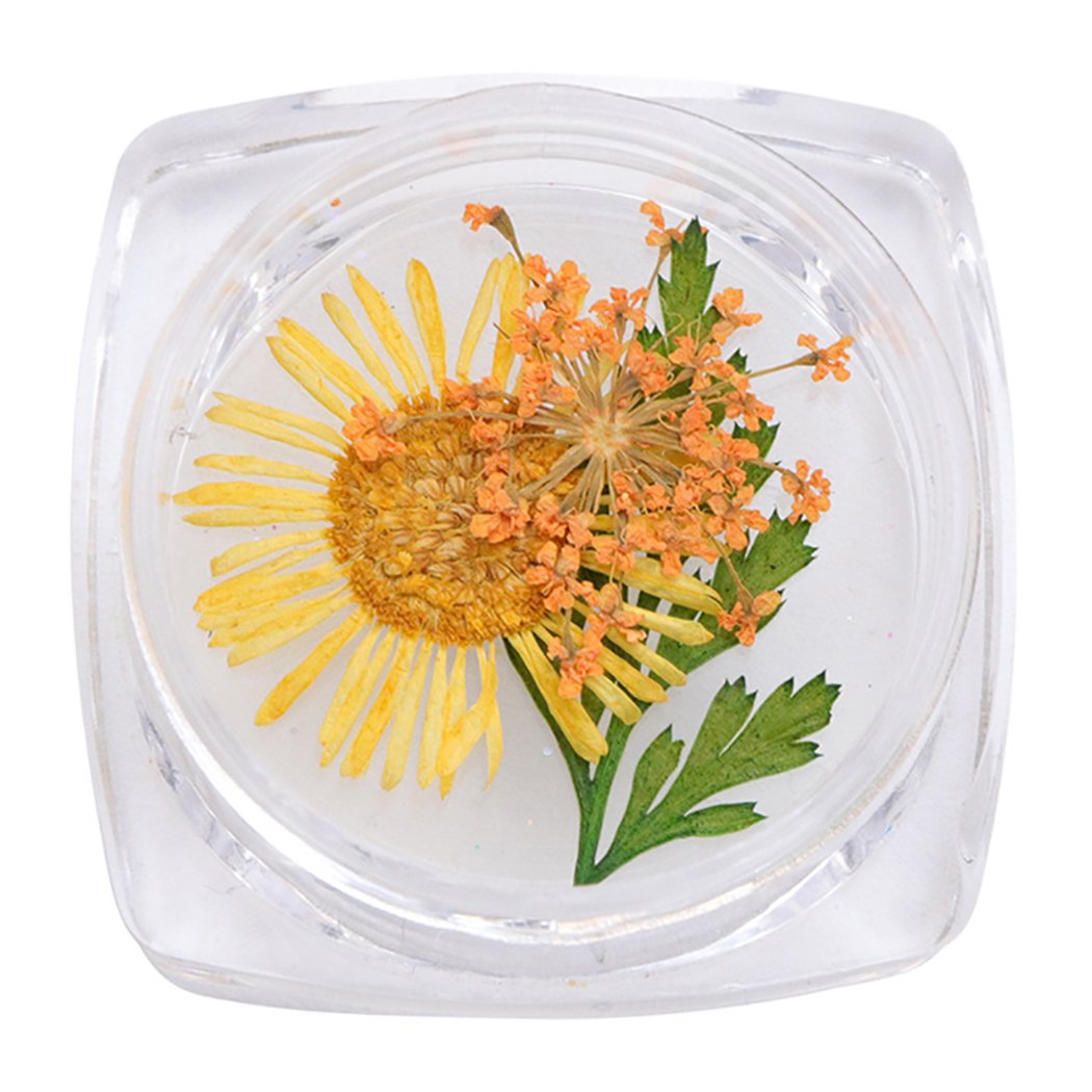 CACAZI Natural Dried Flowers for Nail Art - DIY Pressed Flower Nail Accessories Kit with Nail Art Stones - Perfect for Manicures, Pedicures & Creative Nail Designs at Home or Salon