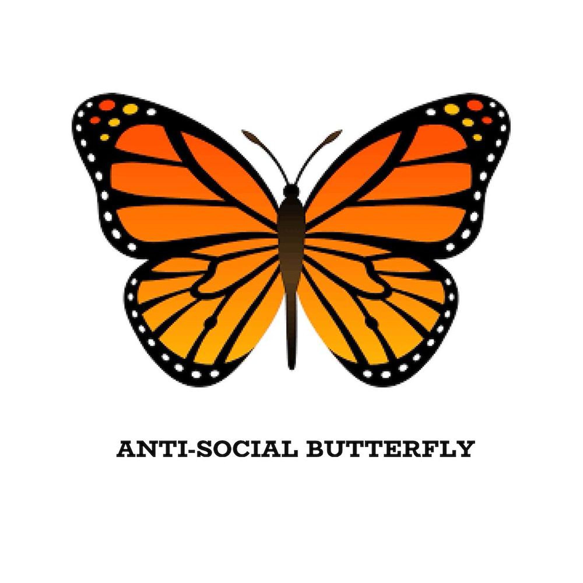 Antisocial Butterfly Ceramic Coffee Mug 11 oz (325 ml) - Funny Novelty Gift for Tea & Coffee Lovers - Perfect for Home, Office, or Gifts
