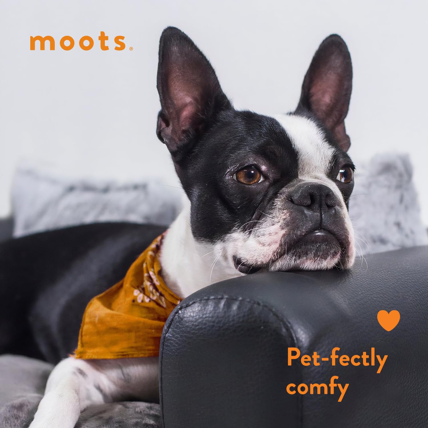 Premium Leatherette Pet Sofa for Medium/Large Dogs - Waterproof & Scratch-Resistant Pet Furniture - Espresso Brown Luxury Dog Bed for Living Room, Bedroom & Office