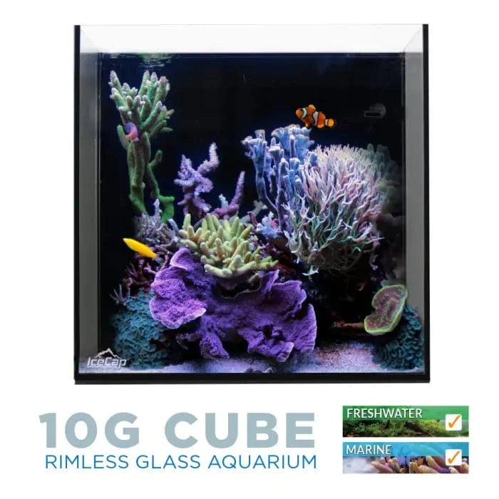 10 Gallon Cube AIO Aquarium Tank with Filtration System - IceCap Nano Saltwater or Freshwater Fish Tank for Home/Office Decor, Reef Keeping & Small Aquatic Pets