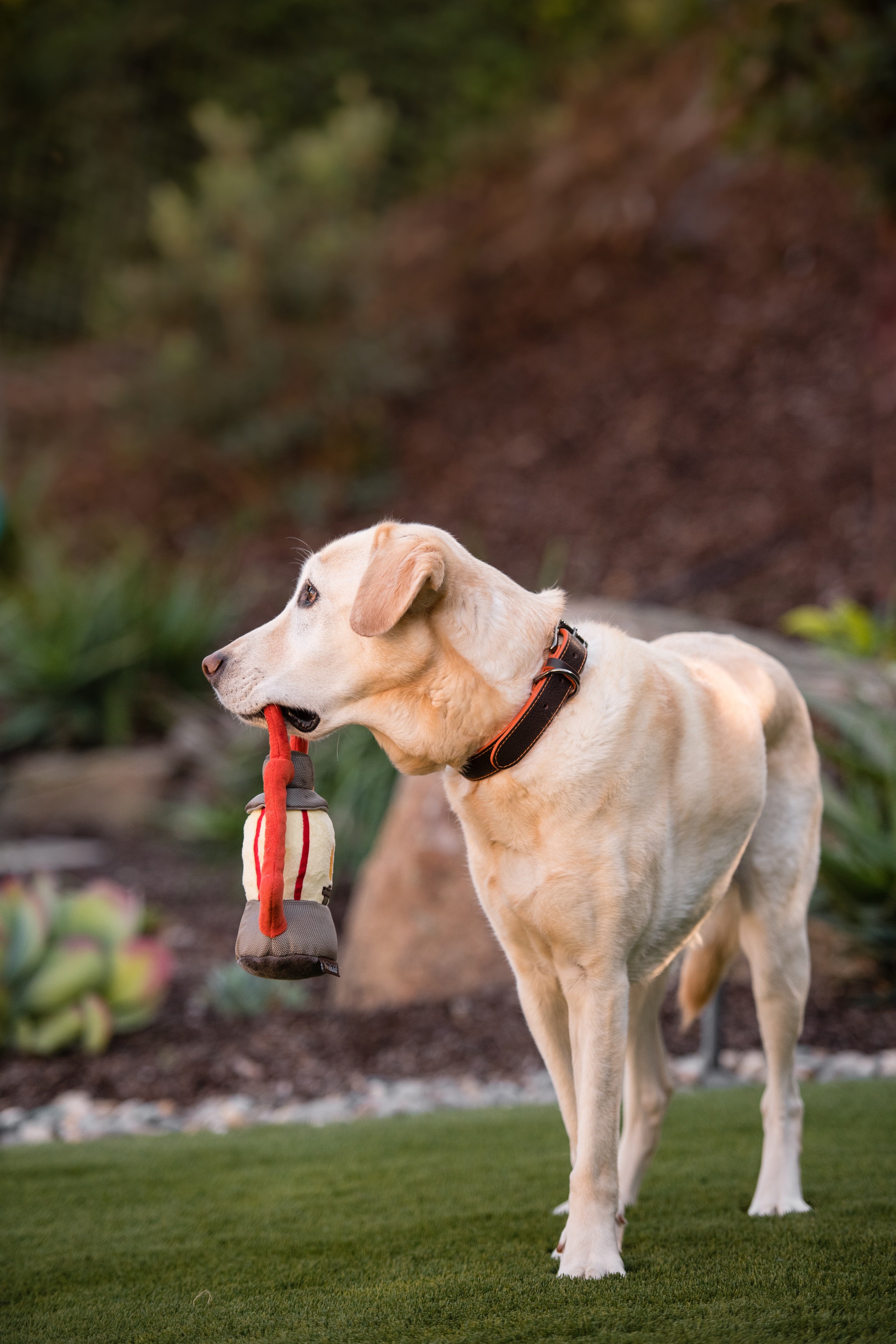Camp Corbin™ Dog Plush Toy with Flashlight - Interactive Chew Toy for Small & Large Dogs - Perfect for Playtime, Training & Outdoor Adventures