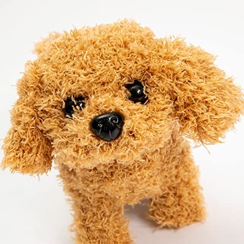 Teddy