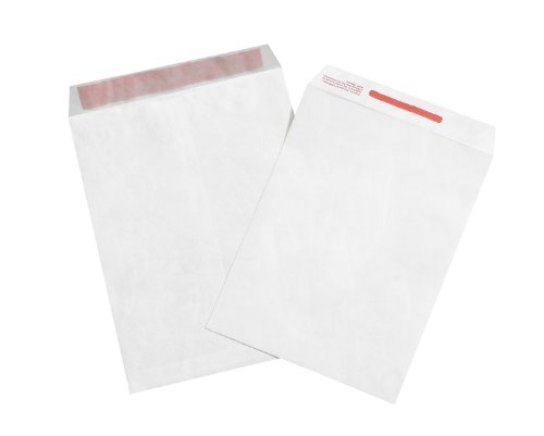 Aviditi 9x12 Inches White Flat Envelopes - Pack of 100 | Mailing & Shipping Envelopes for Documents, Letters & Business Correspondence | Perfect for Office, Home & Mailing Services