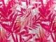 Pink Burst Tropical Leaves