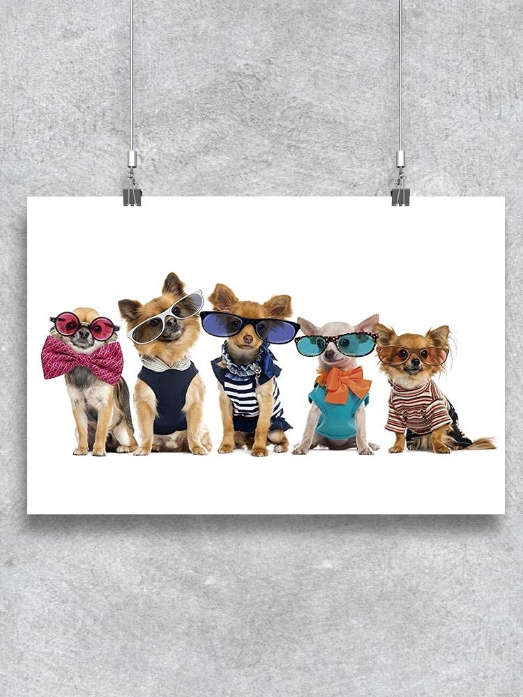 Funny Chihuahuas with Glasses Poster - Cute Dog Wall Art Decor for Living Room, Bedroom & Office