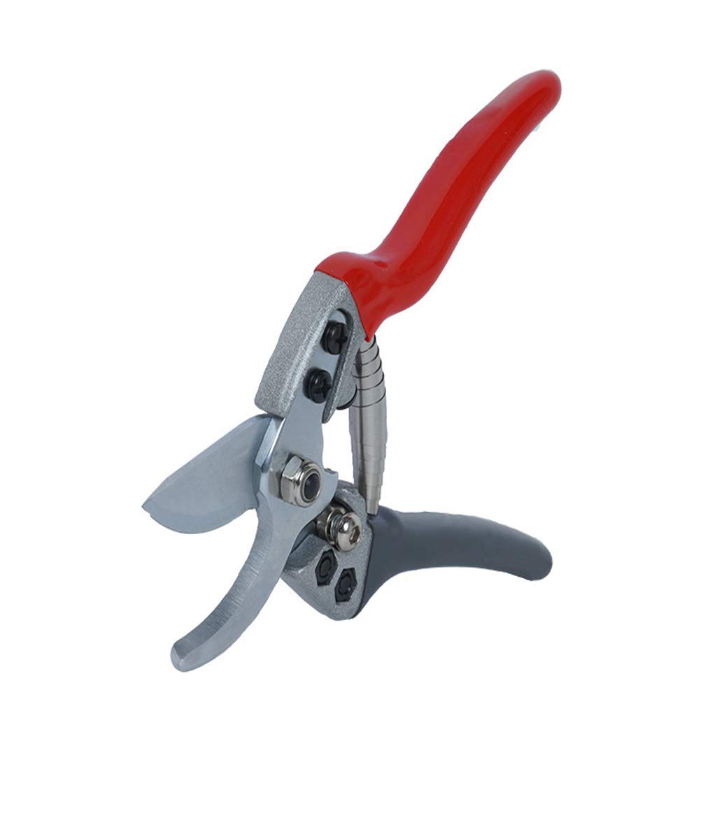 Professional Stainless Steel Gardening Pruning Shears - Lightweight Hand Pruner for Smooth Clean Cuts on Flowers, Plants & Small Branches | Ideal for Home Garden, Landscaping & Floral Arrangements | Durable Garden Scissors for Indoor/Outdoor Use