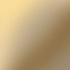 Bronze Mirror Tint