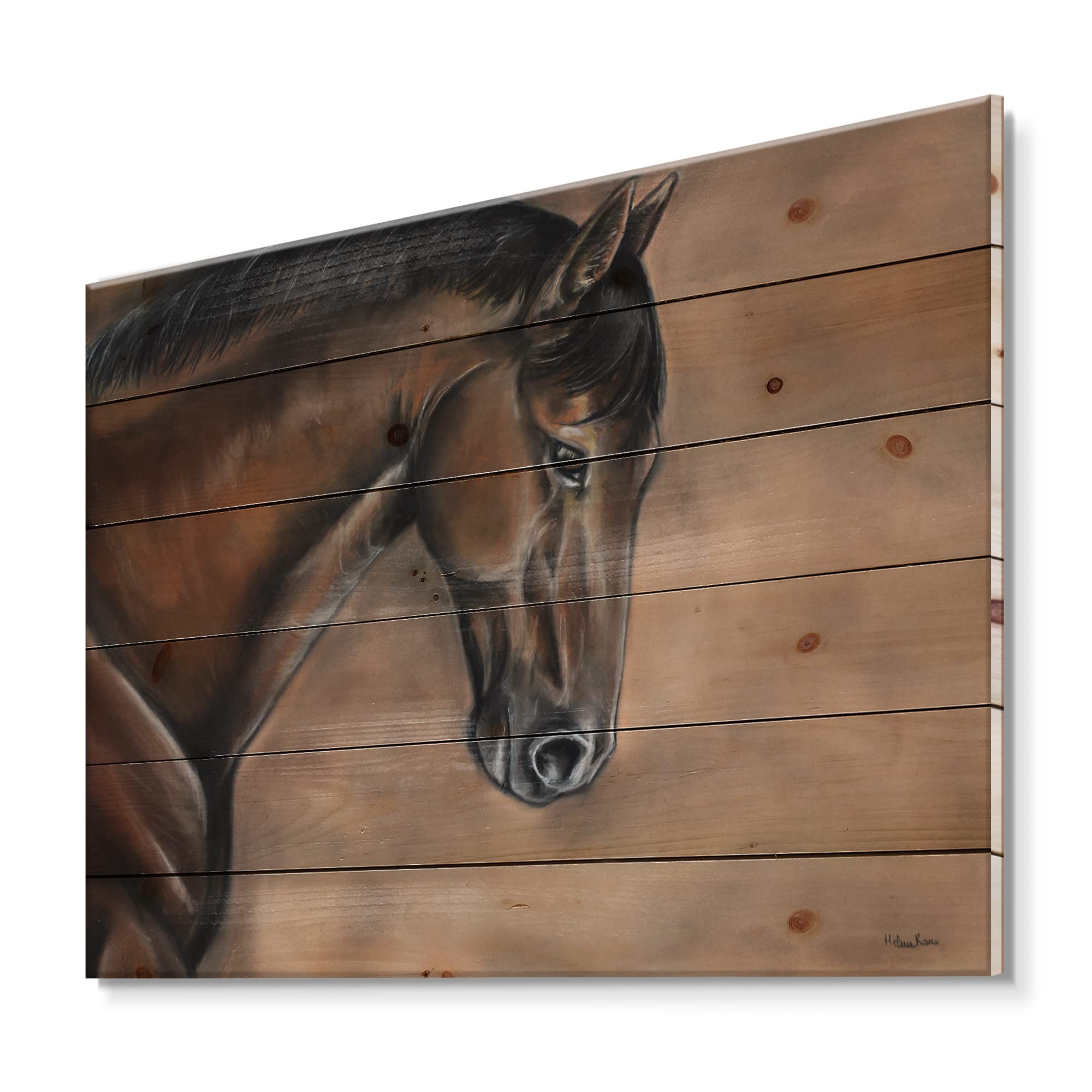 DesignQ Brown Bay Horse Portrait Farmhouse Wood Wall Decor - Large Animal Wall Art Panel Printed on Natural Pine Wood - Perfect for Living Room, Bedroom & Country Home Decor
