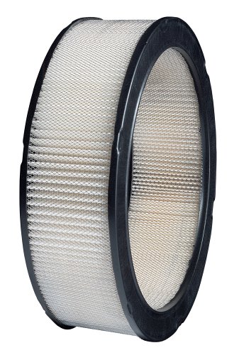 Purolator A34361 Classic Air Filter - High Performance Replacement for Cars, Trucks & SUVs - Improved Engine Protection & Fuel Efficiency - Perfect for Daily Commuting & Off-Road Adventures