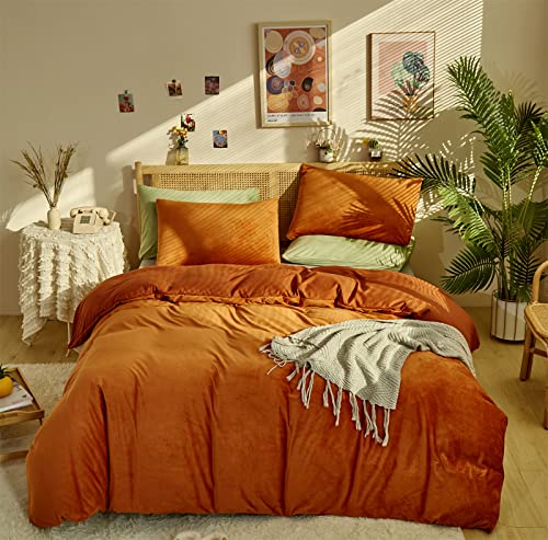 Velvet Burnt Orange