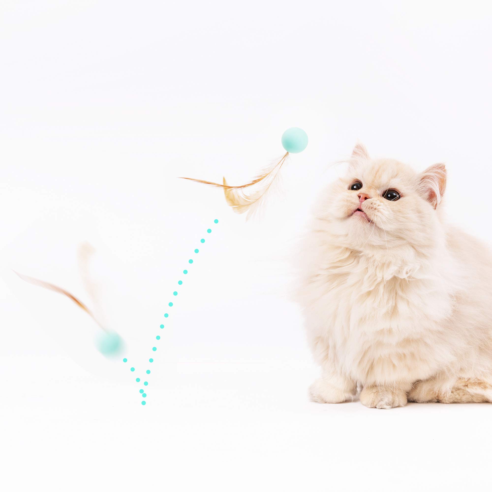 Pidan Interactive Cat Toys - 9PCS Feather & Silicone Ball Set for Indoor Cats - Stimulating Playtime for Kittens & Adult Cats - Perfect for Chasing, Bouncing & Hunting Games