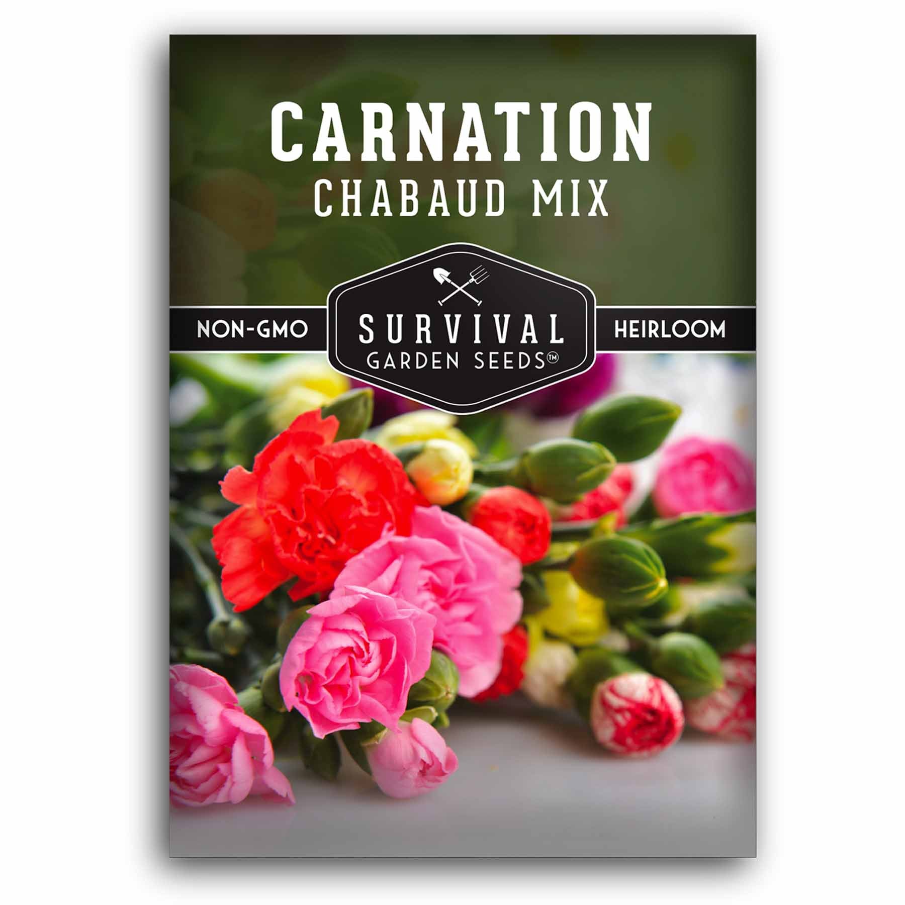 Chabaud Mix Carnation Seeds - Dianthus Caryophyllus Flower Seeds for Garden, Bouquets & Landscaping | Fragrant Cut Flowers for Home Decor & Wedding Arrangements