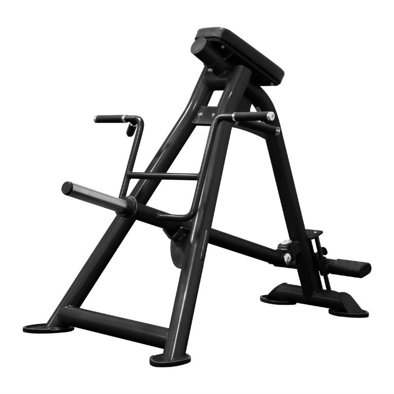 BodyKore Elite Series Standing Row Machine CF2173 - Premium Home & Gym Strength Training Equipment for Back & Shoulder Workouts