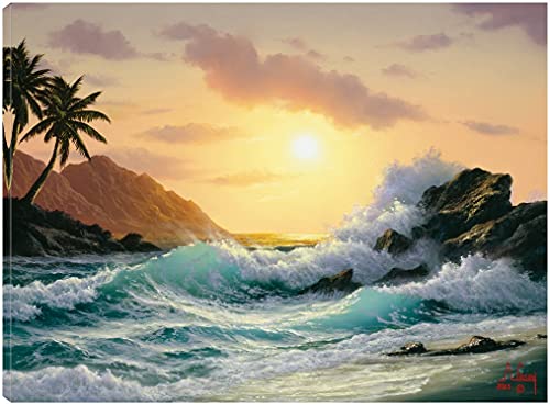 Crashing Waves at Rocks