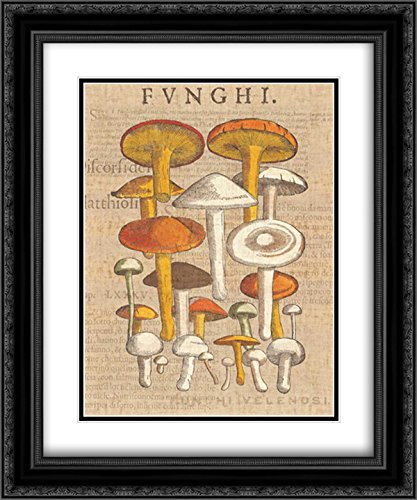 Wild Apple Portfolio 15x17 Black Ornate Framed Double Matted Museum Art Print - Funghi Velenosi II - Elegant Wall Decor for Living Room, Bedroom & Office