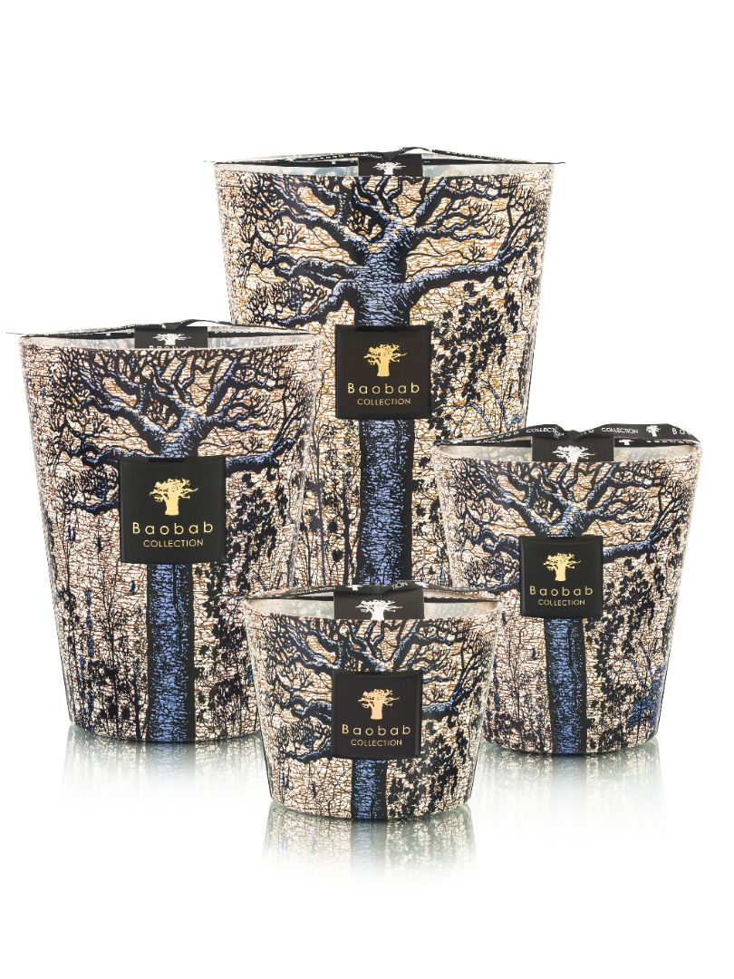 Organic Baobab Powder from Sacred Trees of Seguela – Superfood for Smoothies, Baking & Natural Skincare