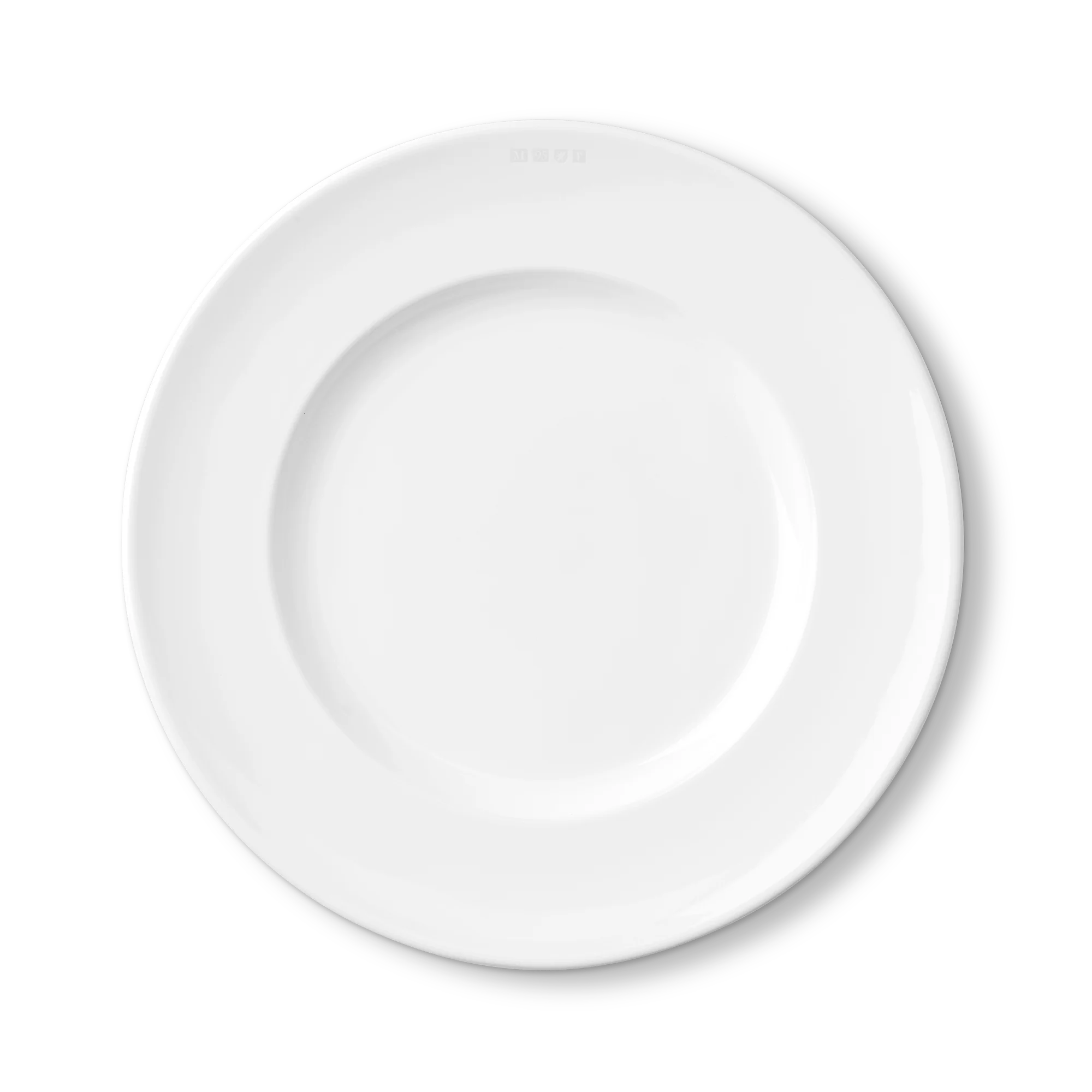 Premium 1508 Porcelain Dinner Plates - Set of 4, Elegant White Round Plates for Formal Dining, Restaurant & Home Entertaining - Dishwasher & Microwave Safe