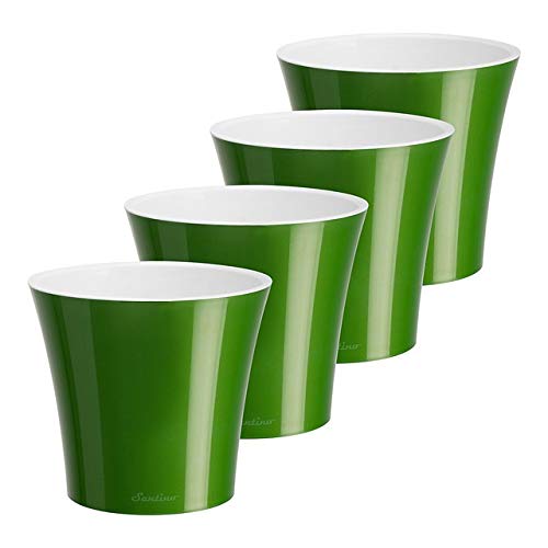 Green-gold/White - Set of 4