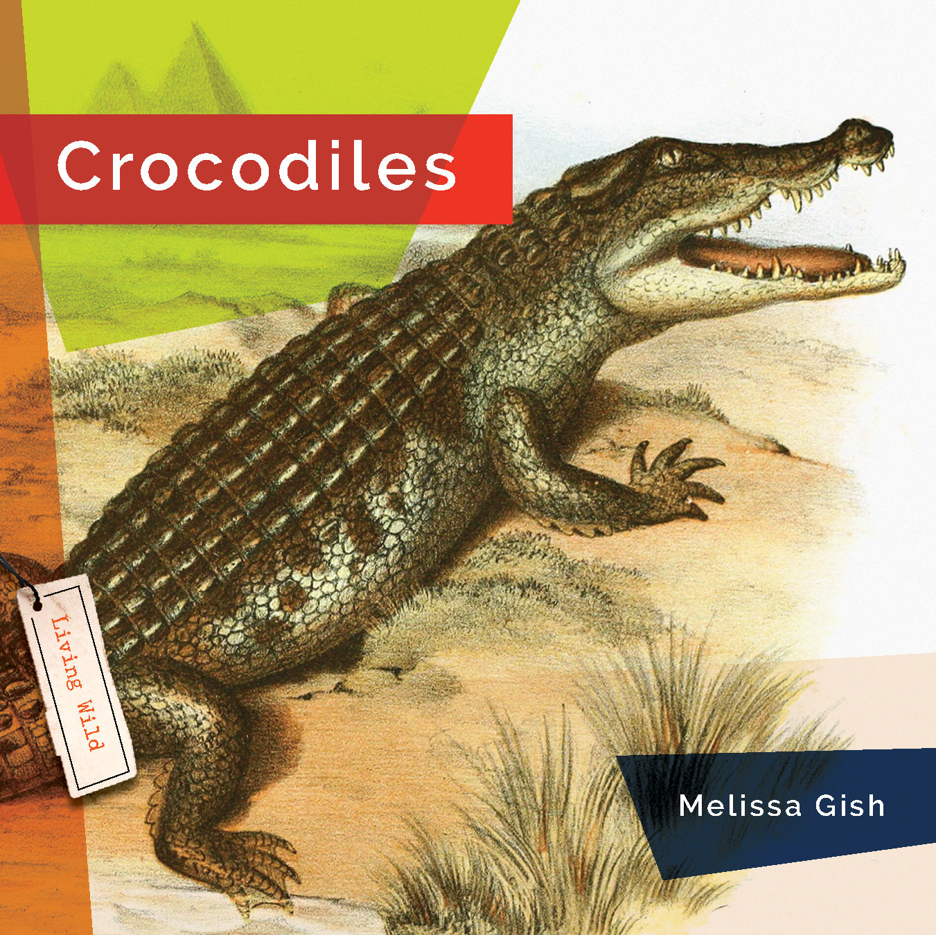 Crocodiles Book 9781640265226 - Wildlife Education & Nature Exploration for Kids & Adults - Perfect for School Projects & Animal Lovers
