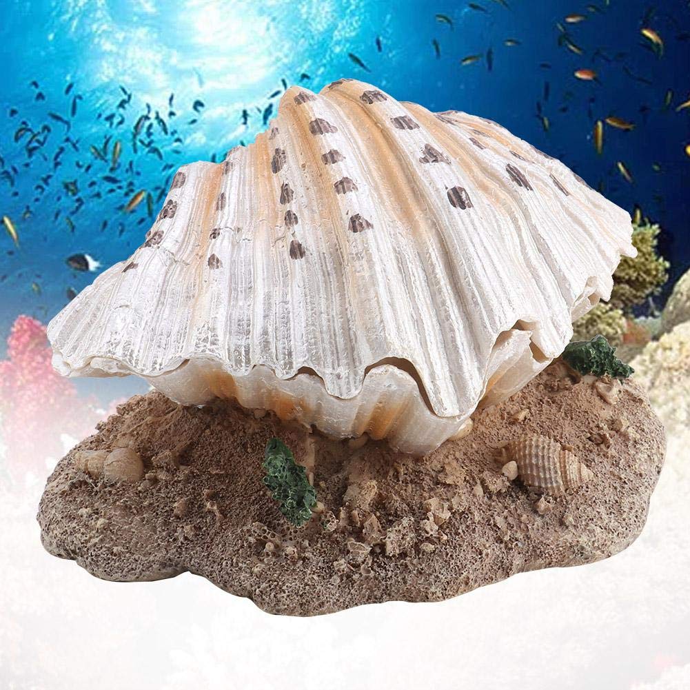 Natural Aquarium Shell Bubble Decor - Coral Reef Ornament for Fish Tank with Aerating Action | Perfect for Saltwater & Freshwater Tanks, Betta Fish Habitat, and Underwater Theme Decorations