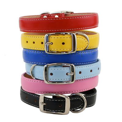 Dover Court Black Dog Collar 1.25
