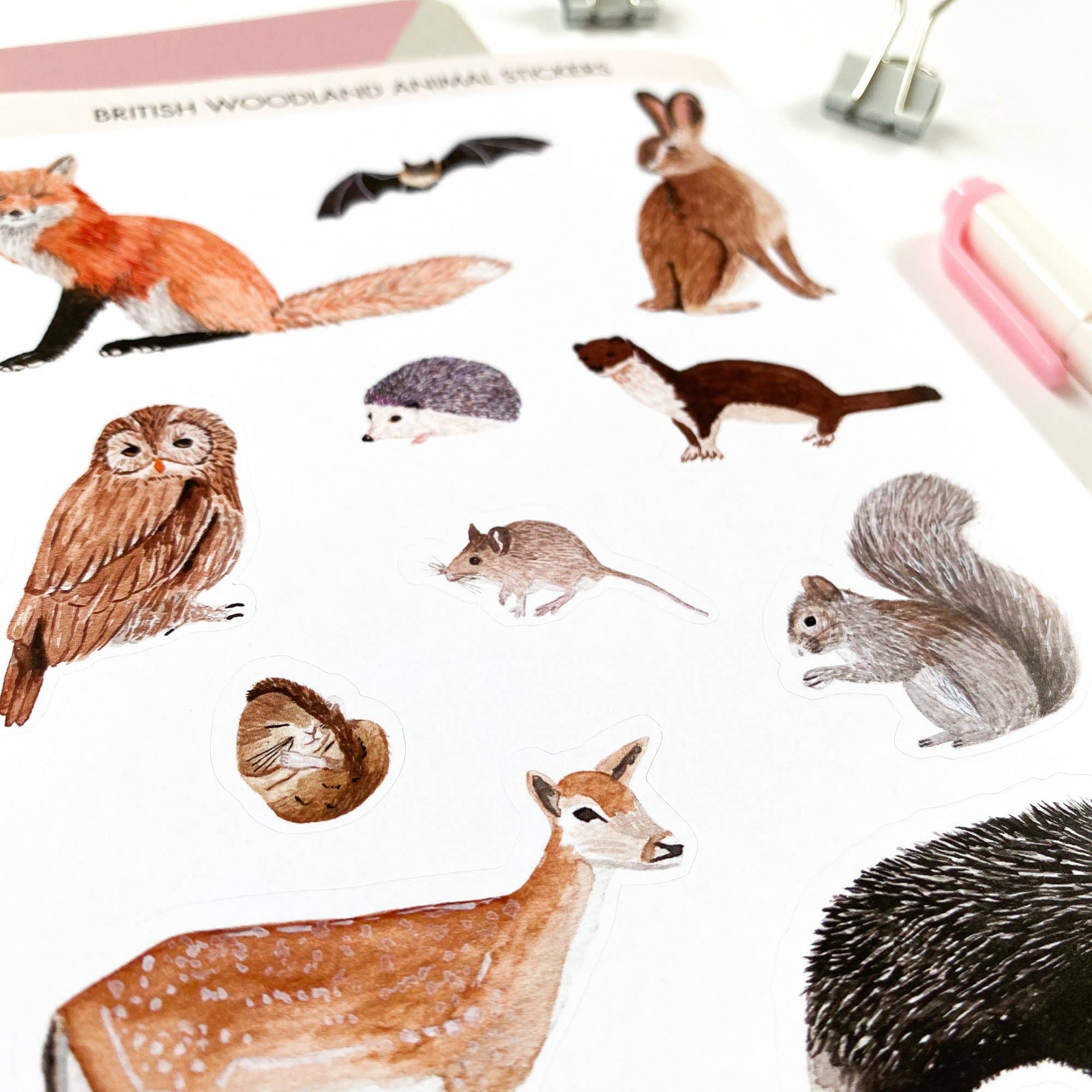 British Woodland Animal Stickers - Adorable Forest Creature Decals for Kids Rooms, Scrapbooks & DIY Crafts - Perfect for Nursery Decor, School Projects & Gift Wrapping